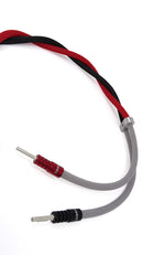 Chord Company SignatureXL Speaker Cable (Factory Terminated), red/black pair, Art et Son