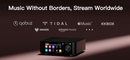 Eversolo Play Streaming Amplifier