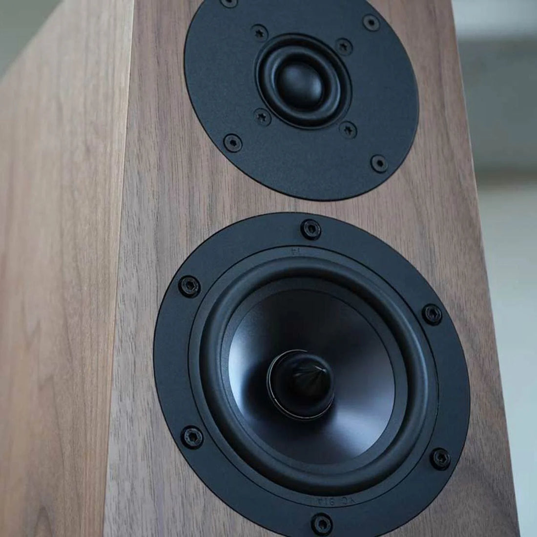 Ophidian-FFION-closeup view, walnut front, Art et Son