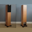 Ophidian Audio Mambo 2 Tower Speakers, front and rear view
