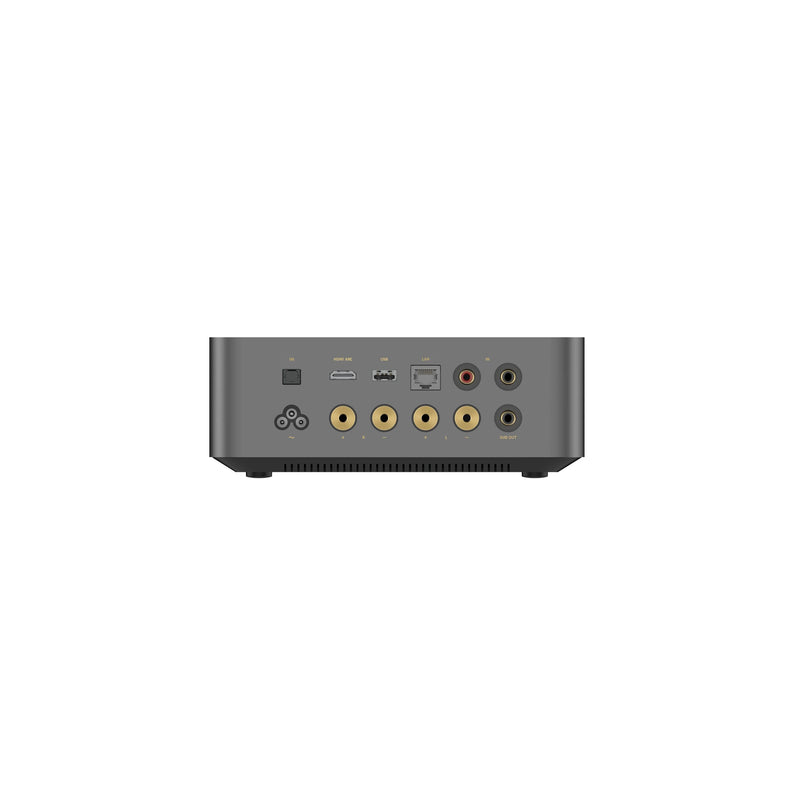 WiiM-amp-Ultra-back-art-et-son