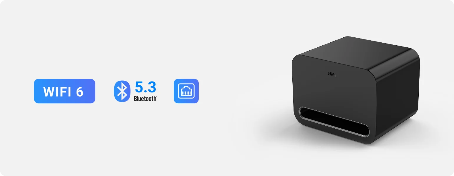 WiiM-sub-pro-specs-art-et-son