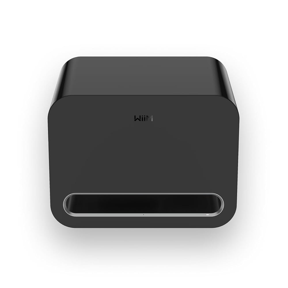 WiiM-sub-pro-straight-art-et-son