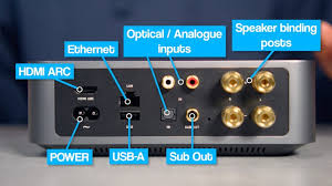 WiiM Amp Back labels