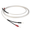 ShawlineX speaker cables terminated with ChordOhmic 4mm banana connectors and trousers.